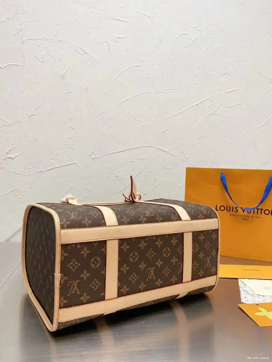 CUSTOM BAG LV PET 0605